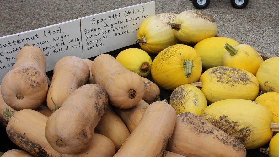 butternut-and-spagetti-squash