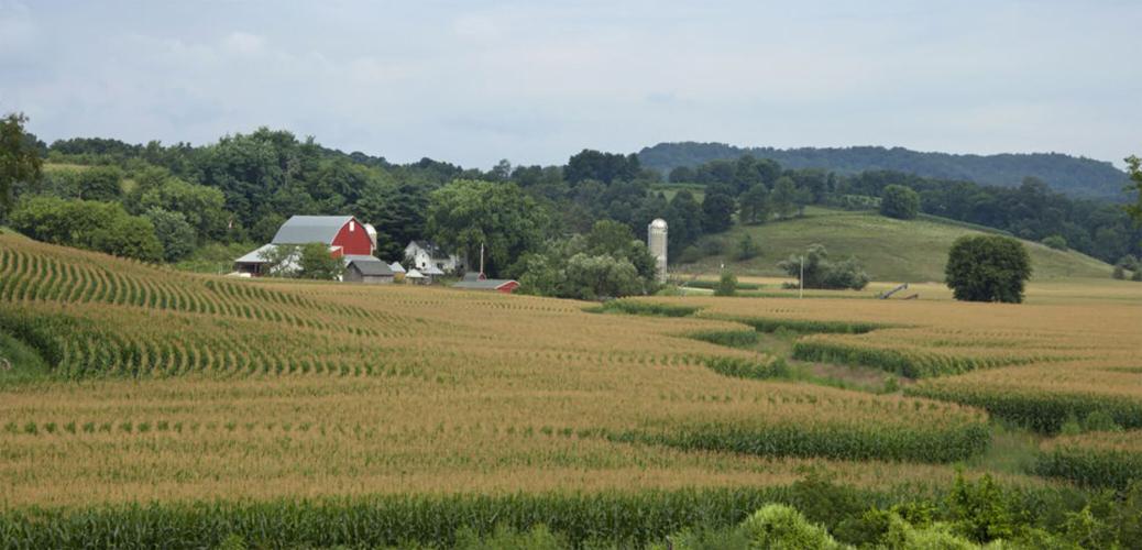 Farm
