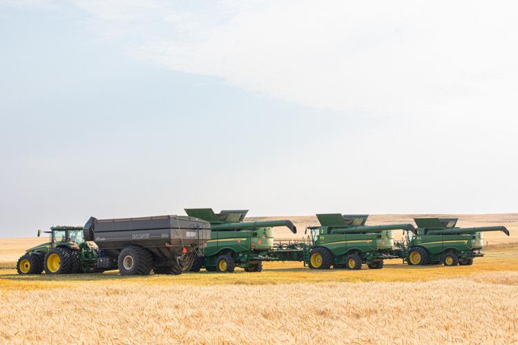 Custom labor shortage 5.jpg