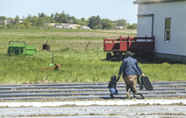 Amish woman with child