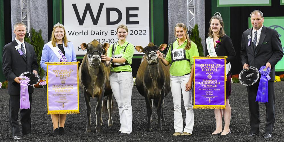 Junior champion and reserve junior champion females of 2022 International Junior Jersey Show.