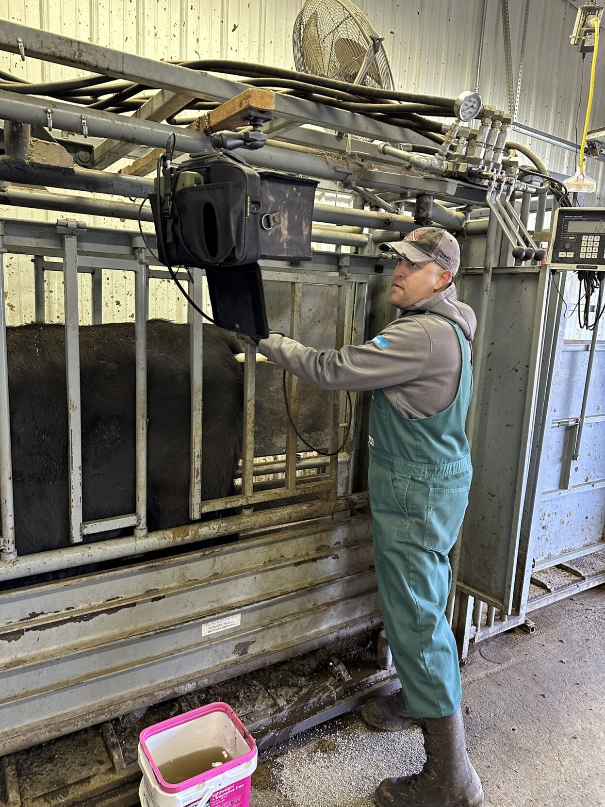 Barn cat program 4.JPEG