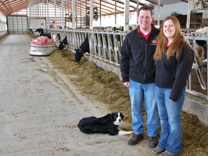 Griesbachs have robot feed pusher