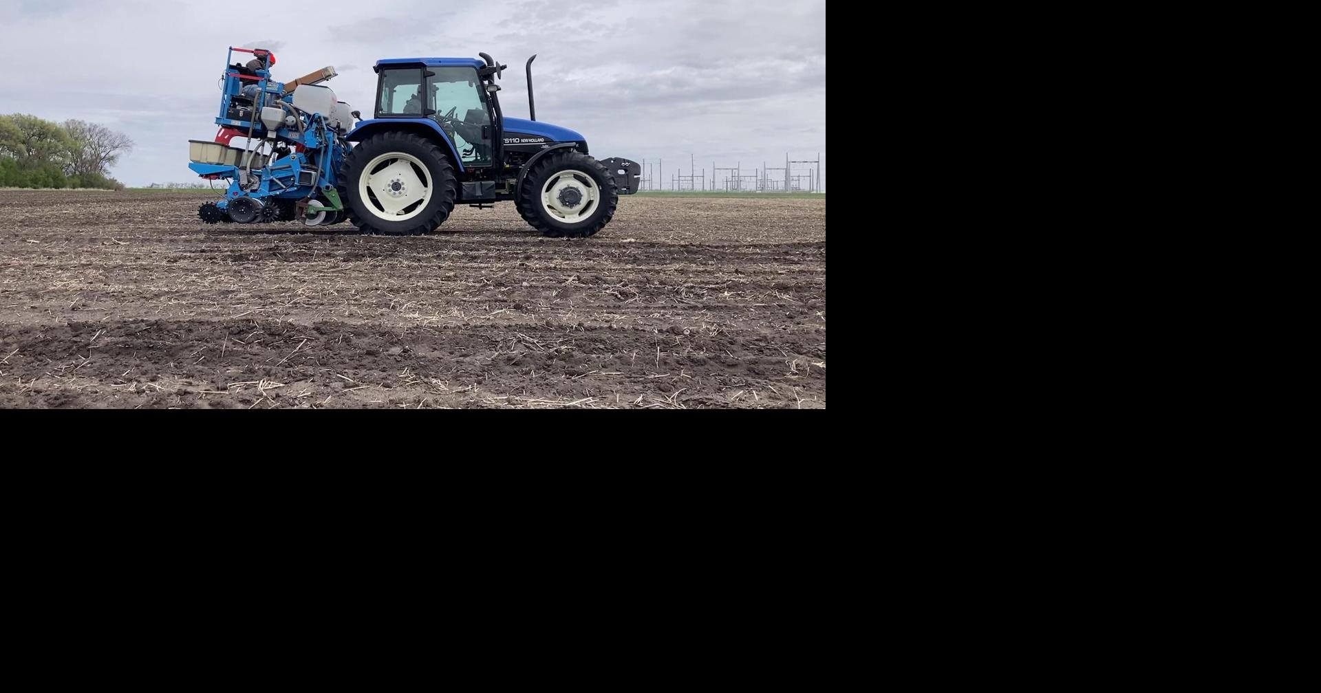 SDSU Seed trials