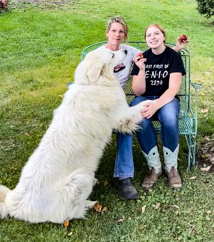 Candid Canine Corner