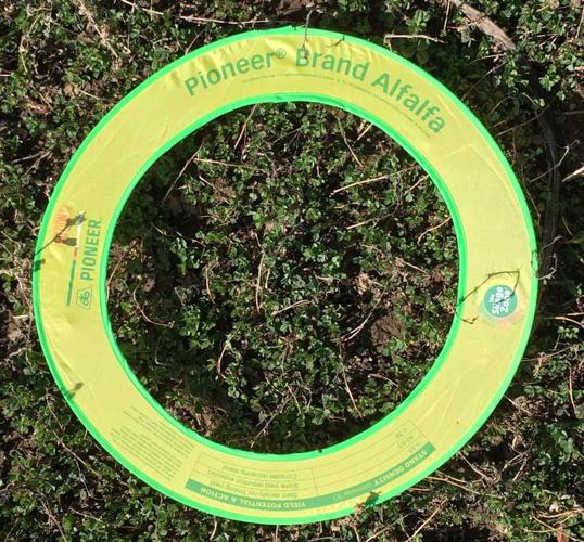 Use stem counts to determine density