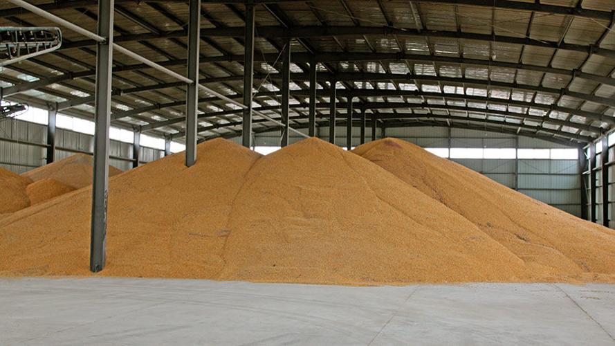 Corn in storage