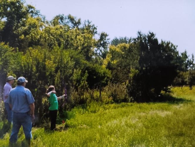 4-H archery shoot