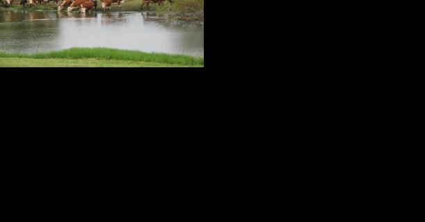 Problems differ with muddy water, salty water