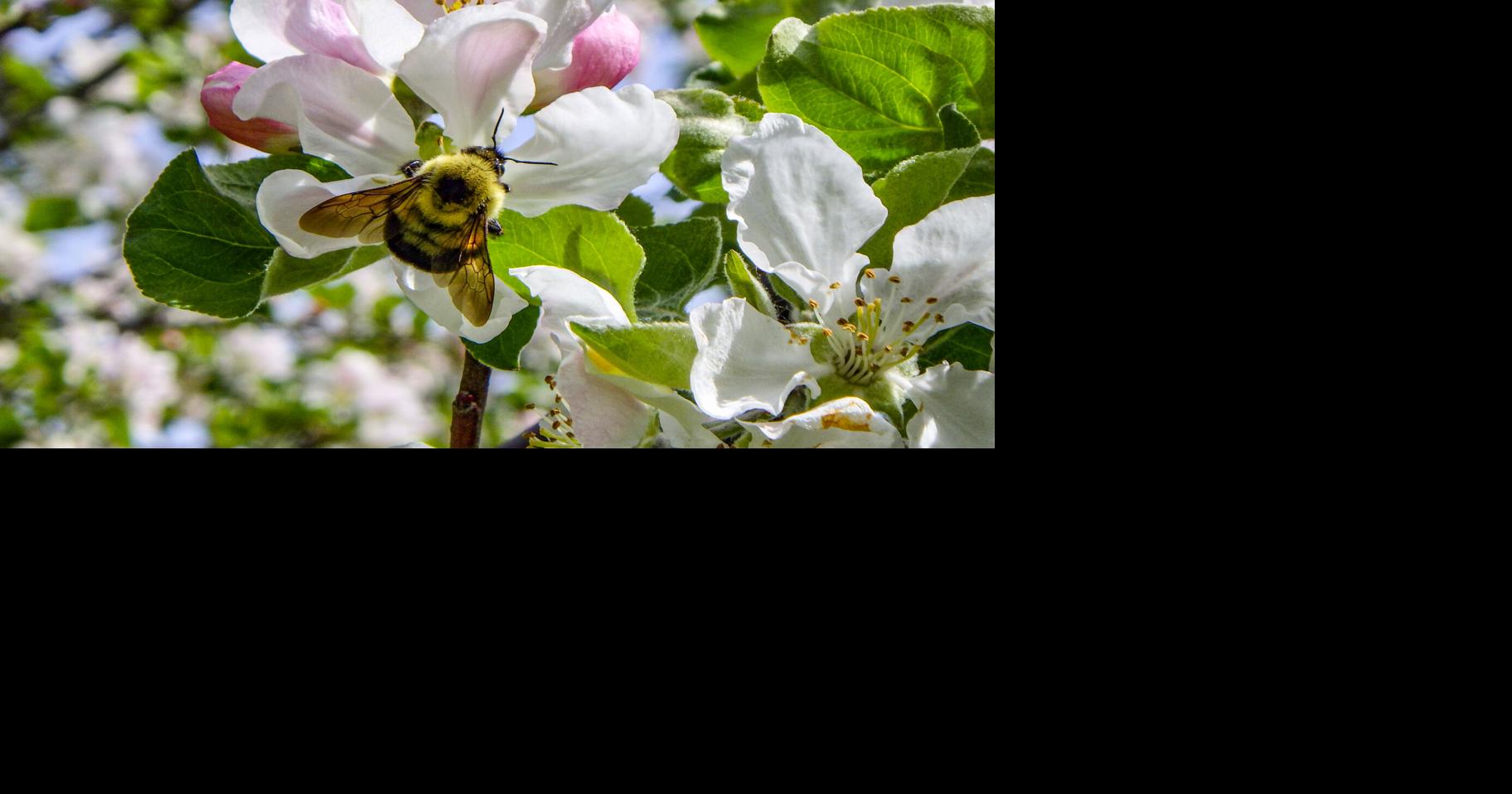 From the Fields | Jason Maloney From the Fields: Jason Maloney Jason Maloney For Agri-View Jun 9, 2026 7 hrs ago