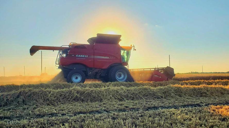 IL wheat harvest sunset