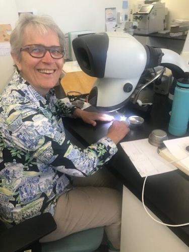 MSU Seed Lab supports industry, seeks new talent