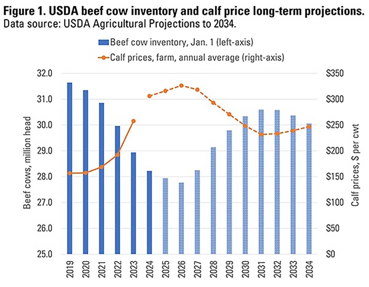 beef cow inventory