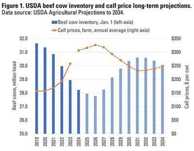 beef cow inventory