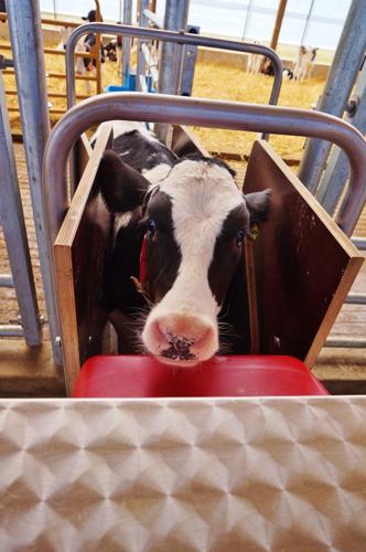 Checking out the memu