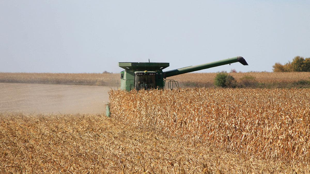 Northeast Iowa farmers