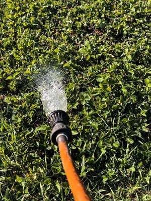 Hose