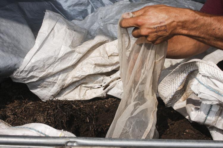 Compost filter