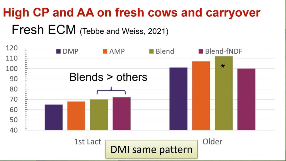 More crude protein and amino acid effect on fresh cows