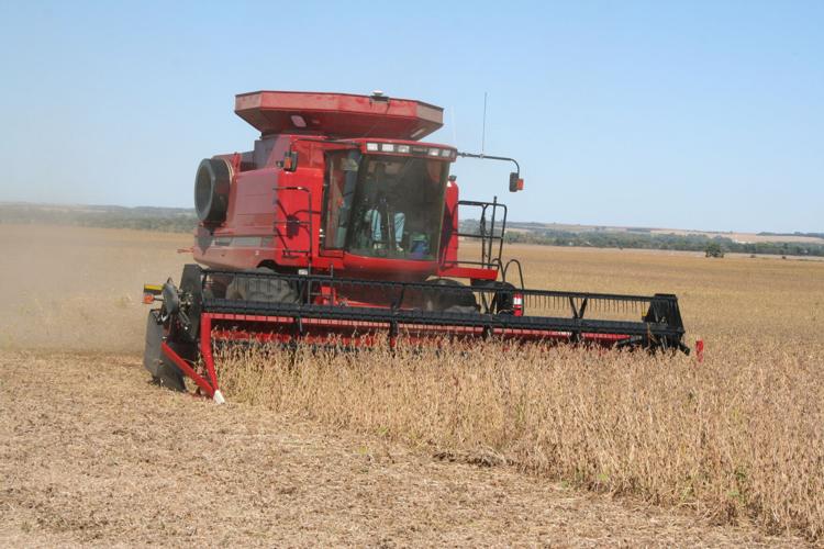 July market outlook 4.JPG