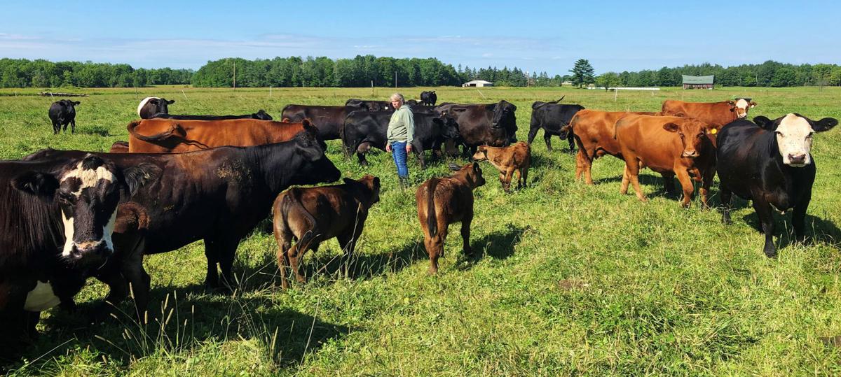 Gayle Strobach with cattle