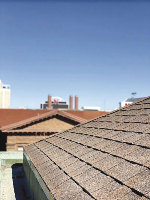 soy shingles