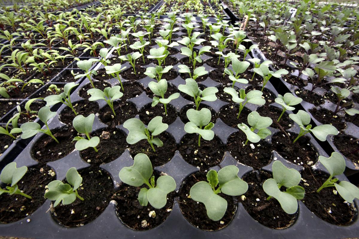 Rhode Island program helps new farmers Business