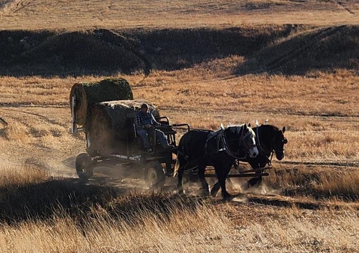 4 - 20241214_142735~4.jpg