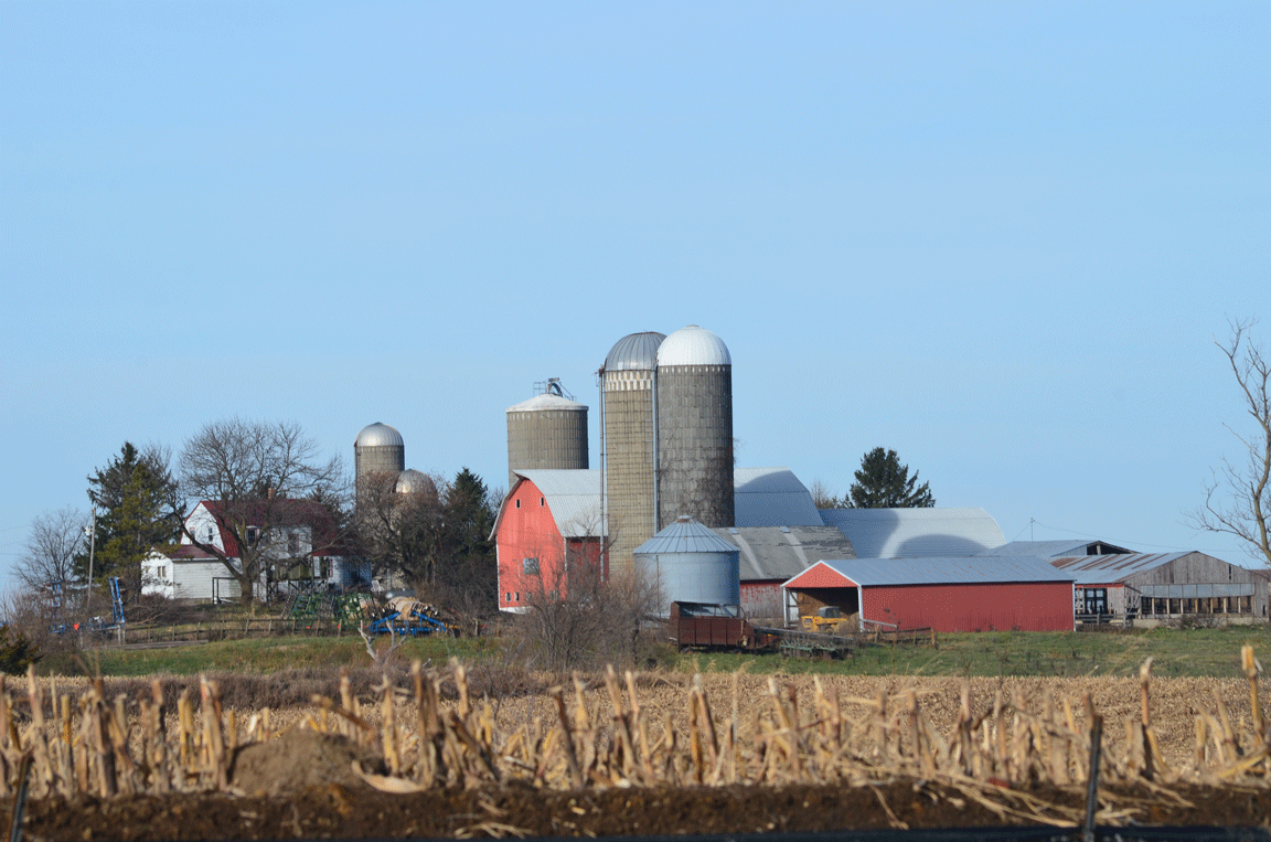 farm scene