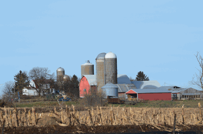 farm scene
