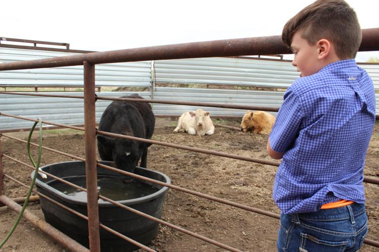 4H Smith family (2).JPG