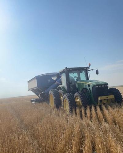 Nebraska Wheat recap 3.jpg