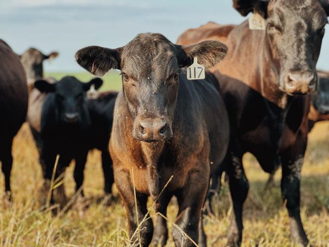 Farmers Union photos 3.jpeg