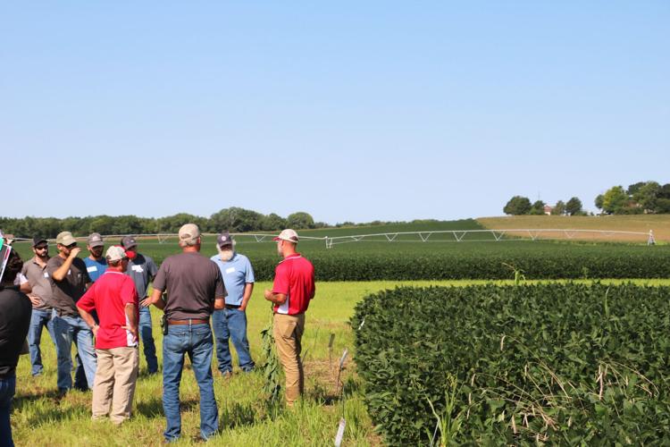 Soybean Management Field Days (3).JPG