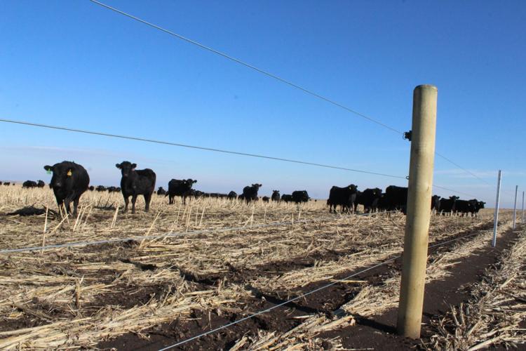 Eagle Pass Ranch (71).JPG