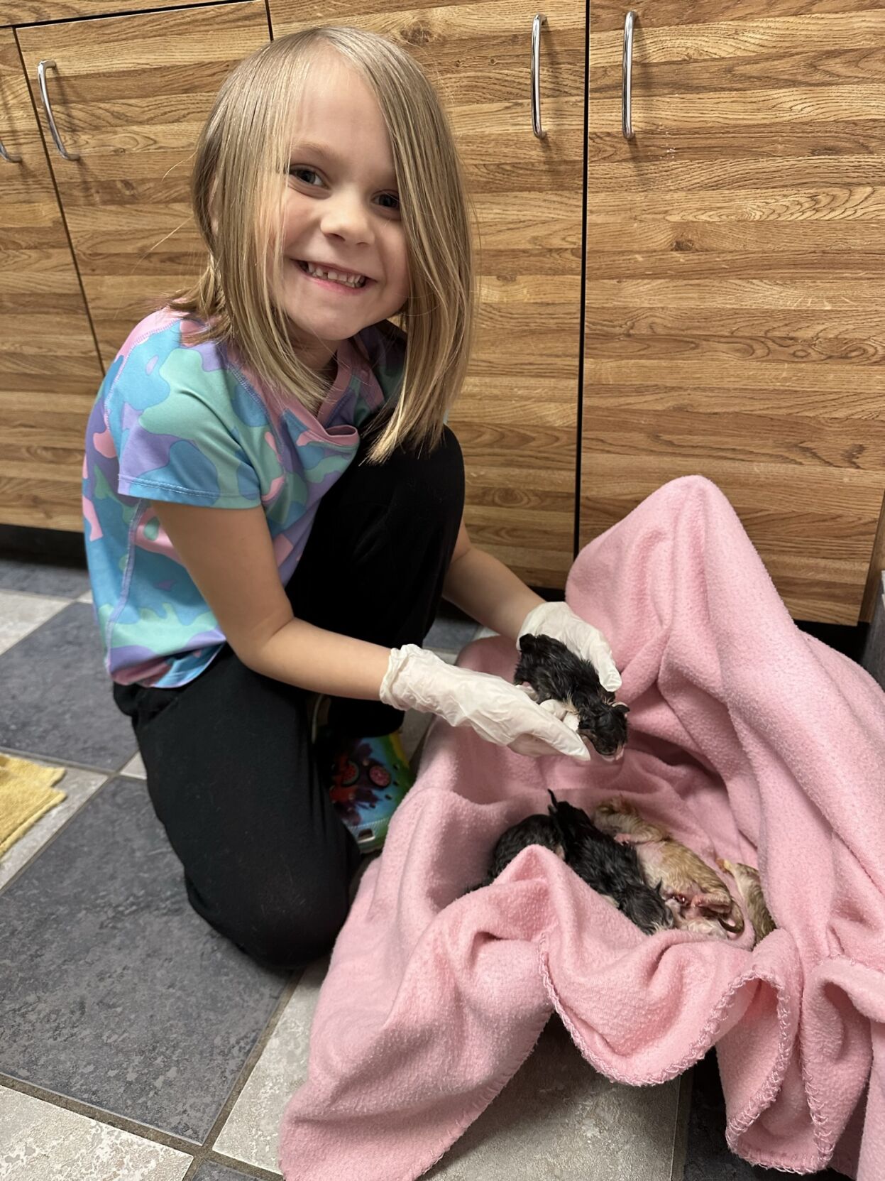 Barn cat program 5.JPEG