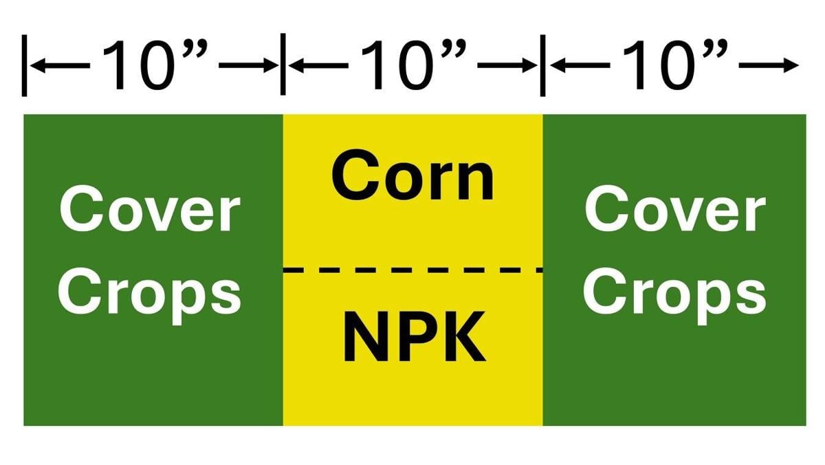Corn planting