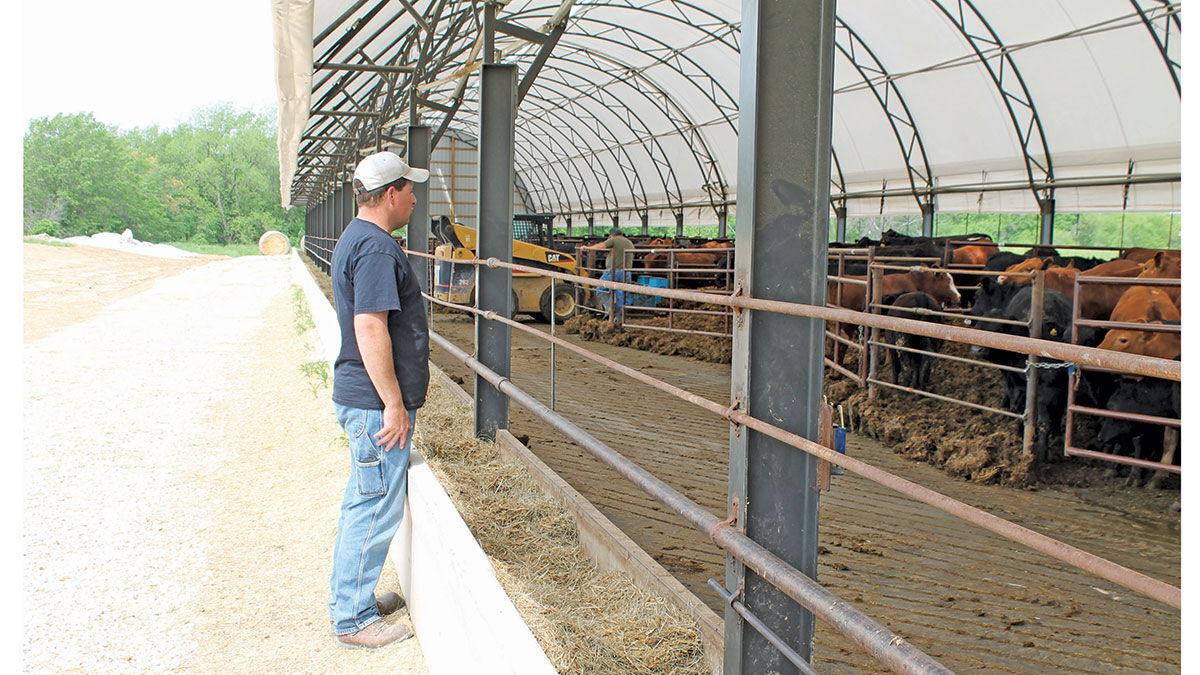 Calf sheds need good air flow