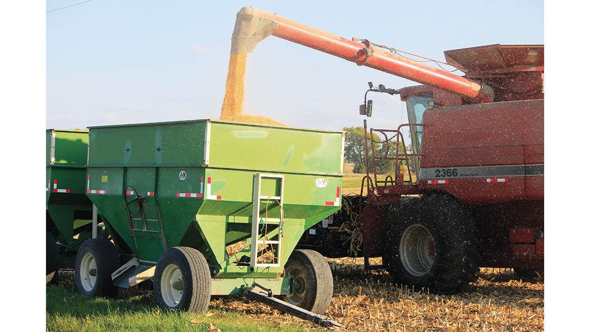 John Woodruff drops a load of corn into a grain cart