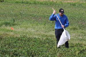 Extension offers training on field crop scouting