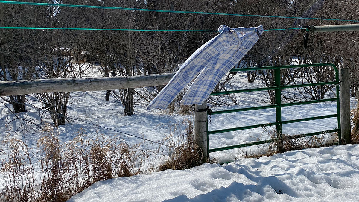 Lounge pants on clothesline