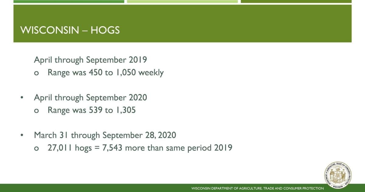 Wisconsin state-inspected hog slaughter comparisons, 2019 and 2020