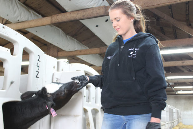 Kohl with calf