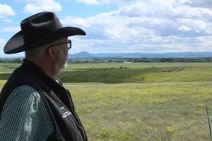 Soil health applies to forage, pastures