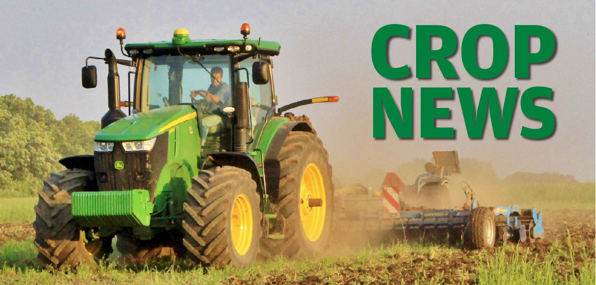 Crop News logo graphic 2