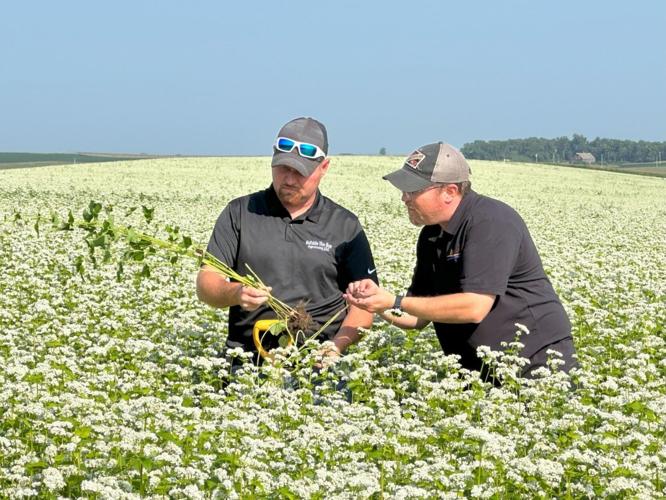 Outside the box 5.jpg