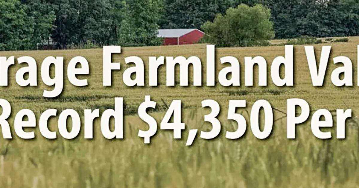 Famland hits record values