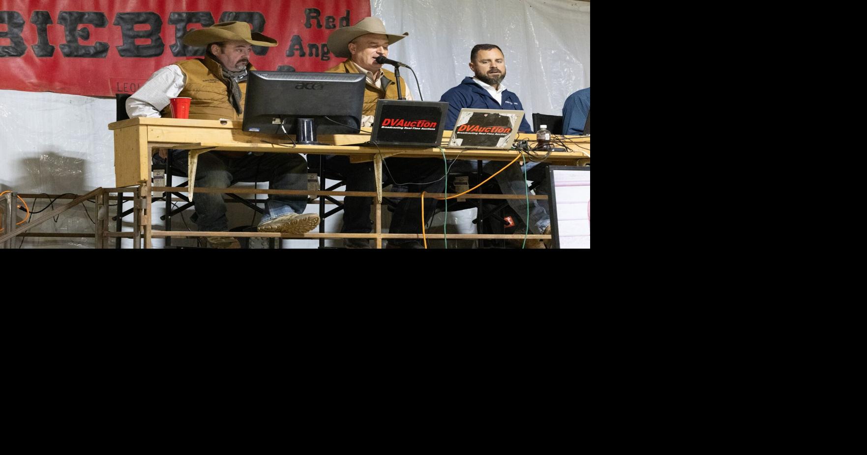 Lights, camera, bull sale: Seedstock marketing in the age of video