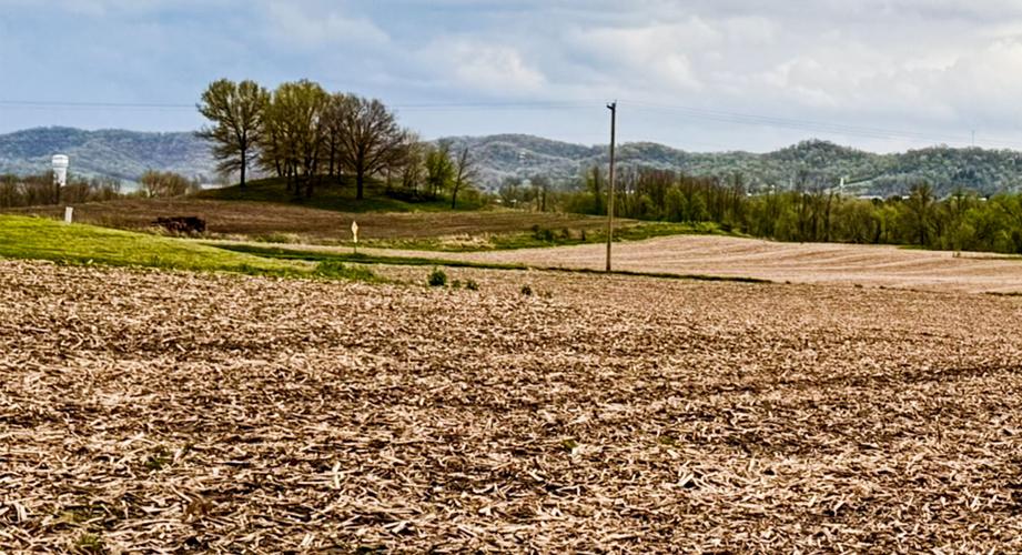 Field