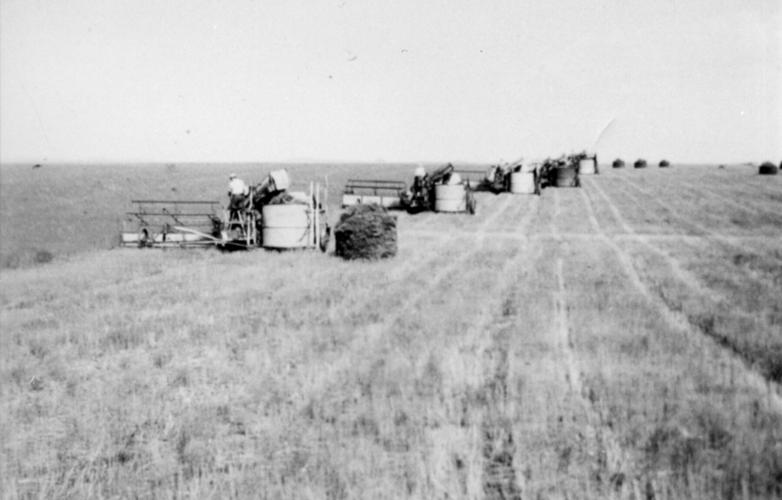Hay harvesters
